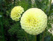 gardenmuseum (22).jpg